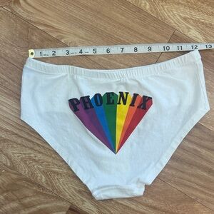 French band Phoenix official merch rainbow panties